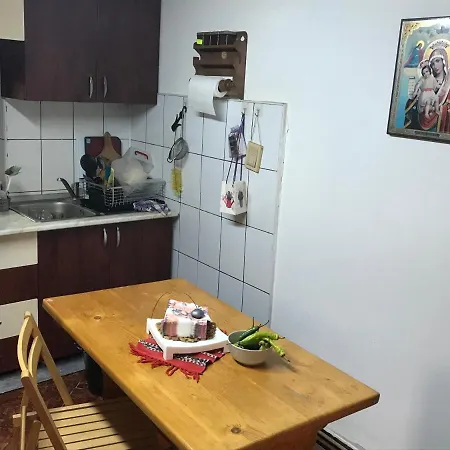 Trei Brazi Dambovita Guest house *