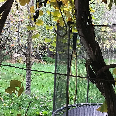 Trei Brazi Dambovita Guest house