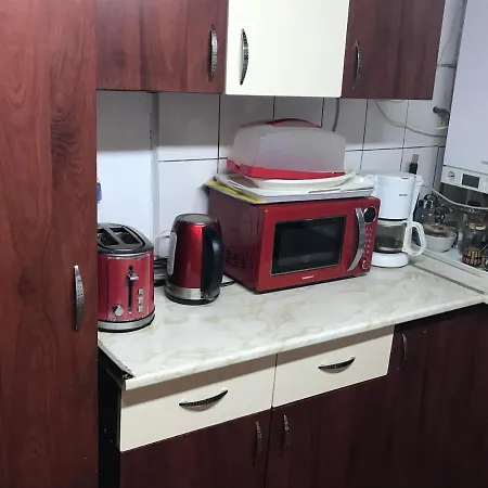 Trei Brazi Dambovita Guest house