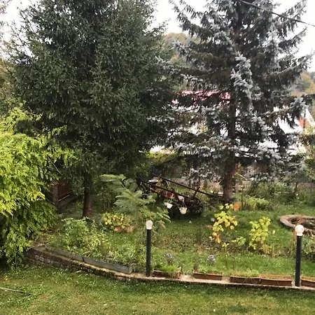 Guest house Trei Brazi Dambovita *