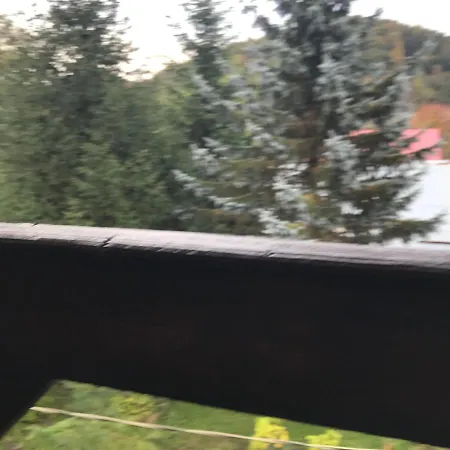 Trei Brazi Dambovita