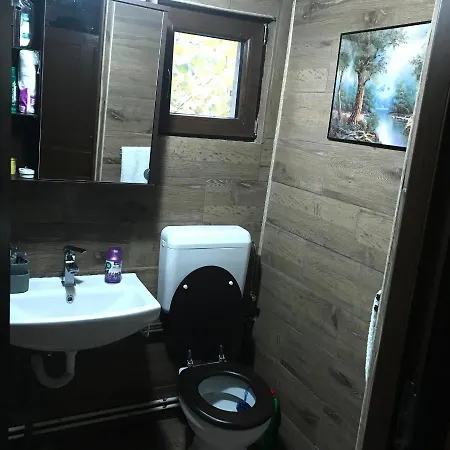 Trei Brazi Dambovita Guest house