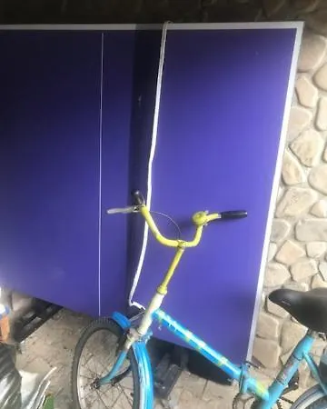 Trei Brazi Dambovita *