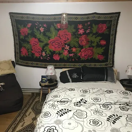 Trei Brazi Dambovita Guest house
