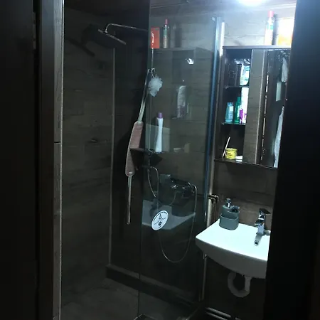 Guest house Trei Brazi Dambovita *
